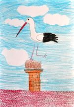 Halkaiová Alexandra.jpg